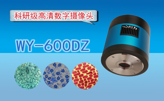 高清CCD数字摄像头WY-600DZ